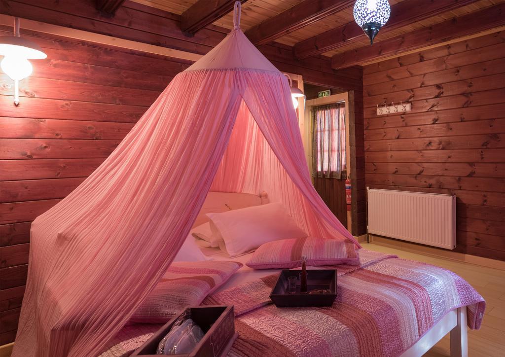 ホテル Colours' Chalet Synikia Mesi Trikalon 部屋 写真